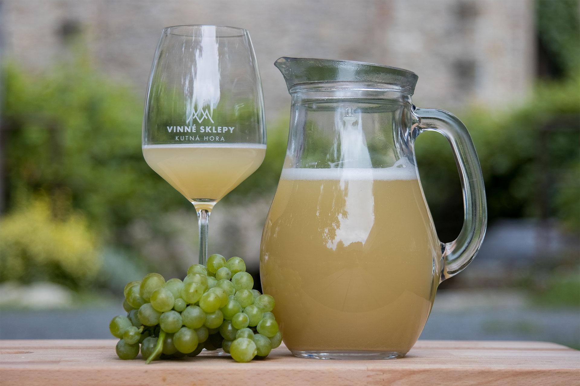 Vinobraní na zámku Kačina