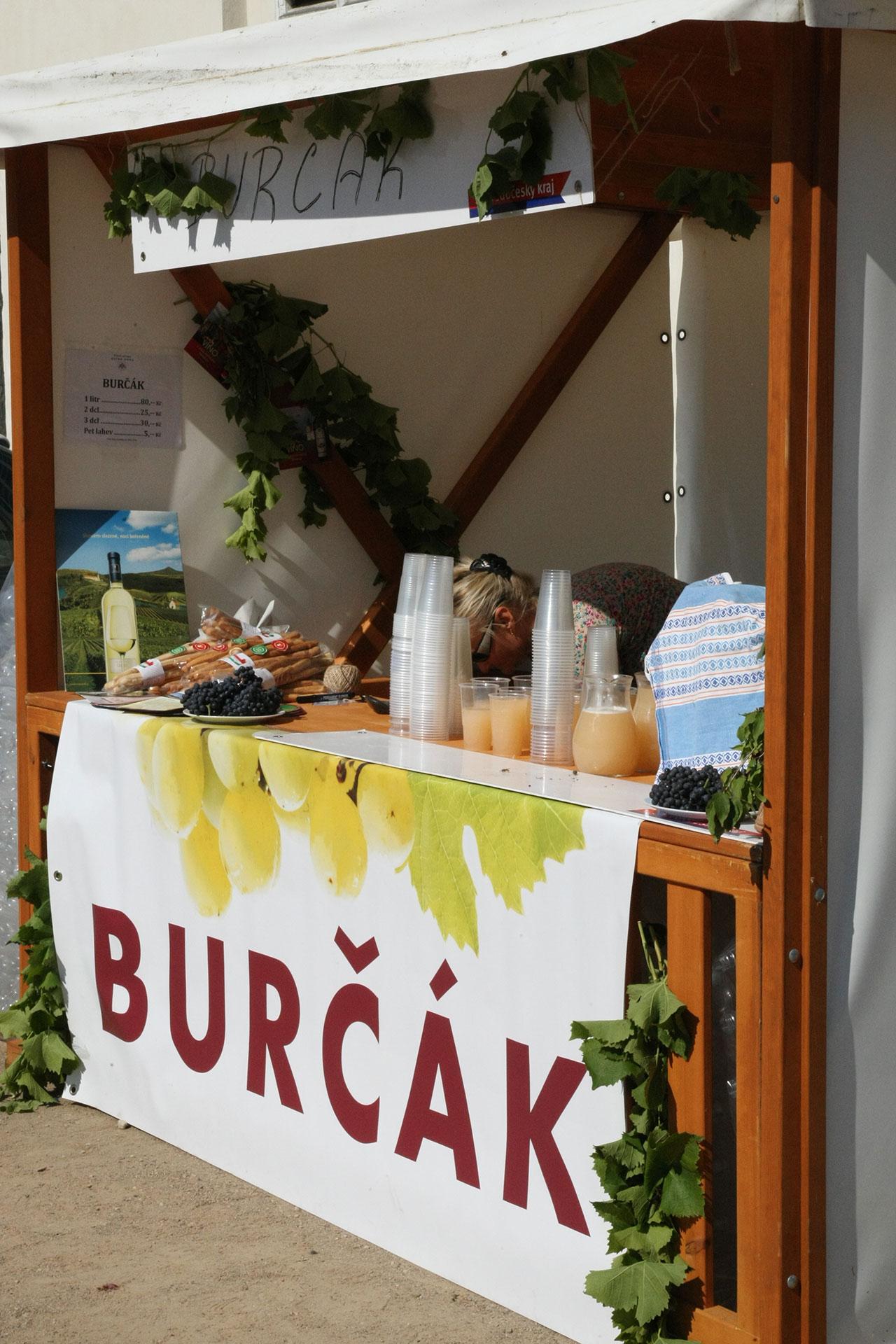 Vinobraní na zámku Kačina